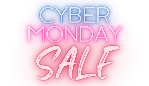Cyber Monday Sale Checkout