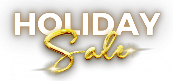 Holiday Sale Checkout